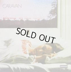 画像1: CARAVAN / For Girls Who Grow Plump In The Night