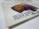 画像6: PETE JOLLY TRIO & FRIENDS / Little Bird