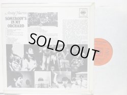 画像2: ANITA HARRIS / Somebody's In My Orchard