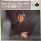 DAVE BERRY / One Dozen Berrys