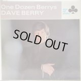 DAVE BERRY / One Dozen Berrys