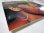 画像6: BILLY LARKIN & THE DELEGATES / Hold On!