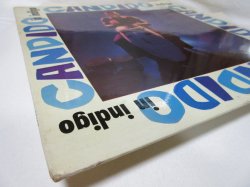 画像6: CANDIDO / Candido In Indigo