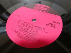 画像4: ROCKIN' BERRIES / Life Is Just A Bowl Of Berries