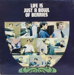 画像1: ROCKIN' BERRIES / Life Is Just A Bowl Of Berries
