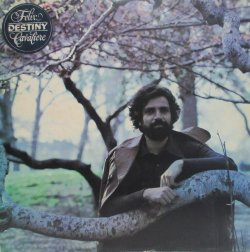 画像1: FELIX CAVALIERE / Destiny