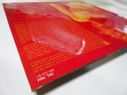 画像7: DUSTY SPRINGFIELD / Dusty...Definitely