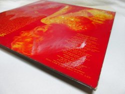 画像8: DUSTY SPRINGFIELD / Dusty...Definitely