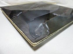 画像8: SCOTT WALKER / Scott Walker Sings Songs From His T.V. Series