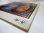 画像6: GEORGE MARTIN & HIS ORCHESTRA / And I Love Her