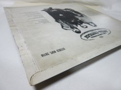 画像7: LEMON PIPERS / Jungle Marmalade