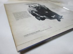 画像10: LEMON PIPERS / Jungle Marmalade