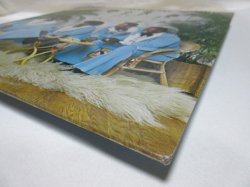 画像5: NOTATIONS / Notations