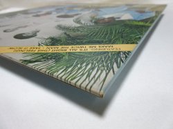 画像6: NOTATIONS / Notations