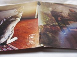 画像9: CAROLE KING / Music (Reissue)