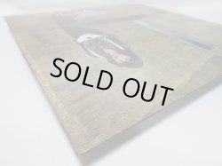 画像7: ANNETTE PEACOCK / X - Dreams