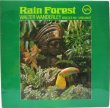 画像1: WALTER WANDERLEY / Rain Forest