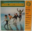 画像1: BEAU BRUMMELS / Introducing The Beau Brummels