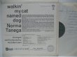 画像2: NORMA TANEGA / Walkin' My Cat Named Dog