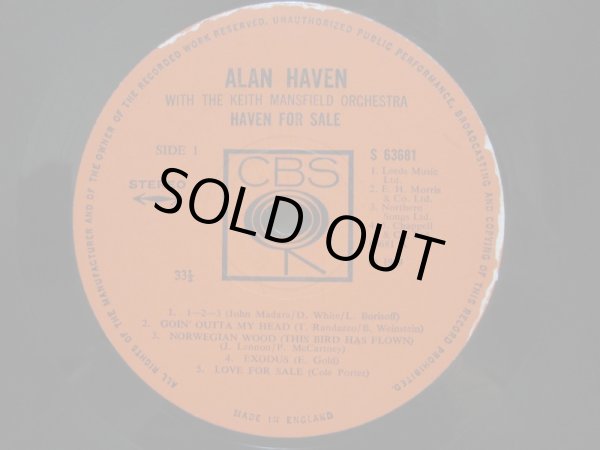 画像3: ALAN HAVEN / Haven For Sale