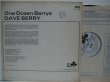 画像2: DAVE BERRY / One Dozen Berrys