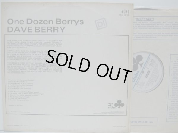 画像2: DAVE BERRY / One Dozen Berrys