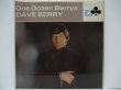 画像1: DAVE BERRY / One Dozen Berrys