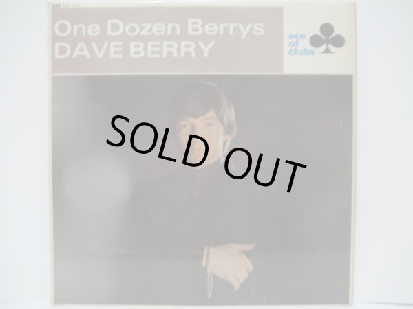 画像1: DAVE BERRY / One Dozen Berrys