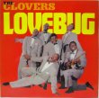 画像1: CLOVERS / Lovebug