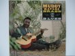 画像1: MUDDY WATERS / Muddy, Brass & The Blues