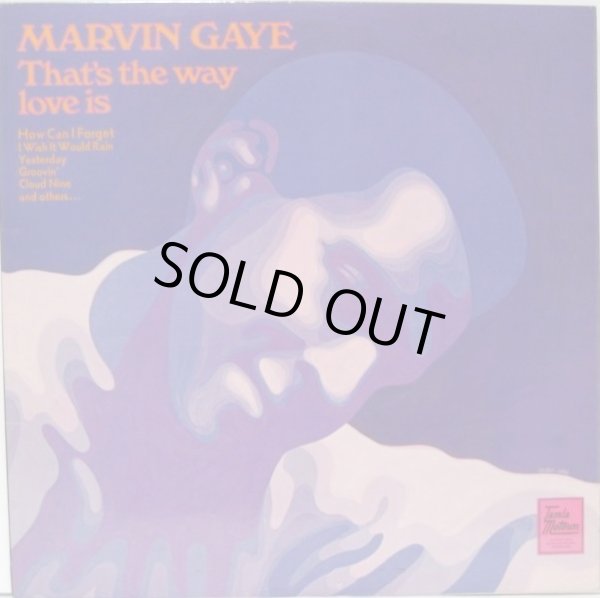 画像1: MARVIN GAYE / That's The Way Love Is