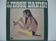 画像1: JESSE DAVIS / Jesse Davis