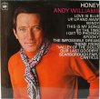 画像1: ANDY WILLIAMS / Honey