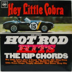 画像: RIP CHORDS / Hey Little Cobra