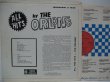 画像2: ORLONS / All The Hits By The Orlons