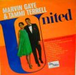 画像1: MARVIN GAYE & TAMMI TERRELL / United