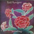 画像1: TODD RUNDGREN / Something/Anything?