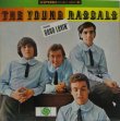 画像1: YOUNG RASCALS / The Young Rascals