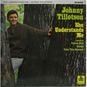 画像: JOHNNY TILLOTSON / She Understands Me