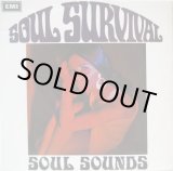 画像: SOUL SOUNDS / Soul Survival