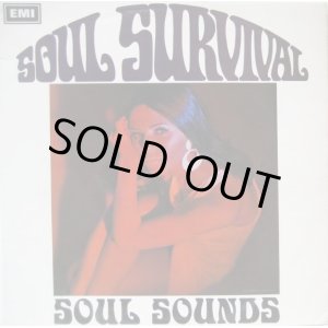 画像: SOUL SOUNDS / Soul Survival