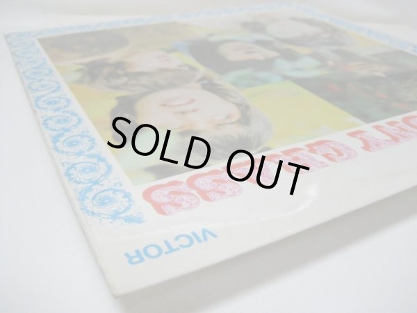 画像5: HARMONY GRASS / Harmony Grass