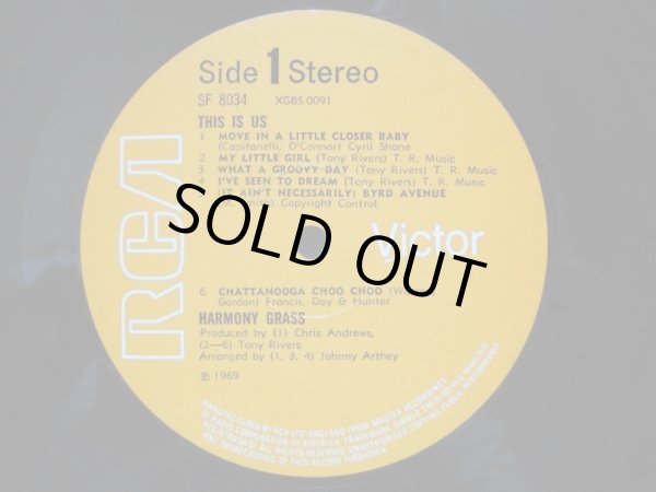 画像3: HARMONY GRASS / Harmony Grass