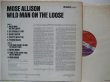 画像2: MOSE ALLISON / Wild Man On The Loose