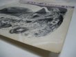 画像6: ALBERT AYLER / Spirits