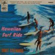 画像1: WOUT STEENHUIS / Hawaiian Surf Ride ( EP )