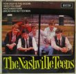 画像1: NASHVILLE TEENS / The Nashville Teens ( EP )