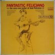 画像1: JOSE FELICIANO / Fantastic Feliciano