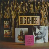 画像: JUNIOR MANCE TRIO / Big Chief!