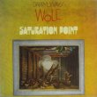 画像1: DARRYL WAY'S WOLF / Saturation Point